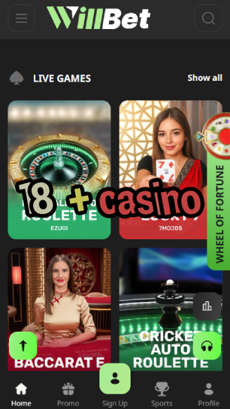 18+ Casino - Best Adult Gambling Site-www.bdqngd.com